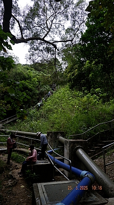 _DSF0082.JPG