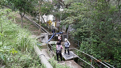 _DSF0083.JPG