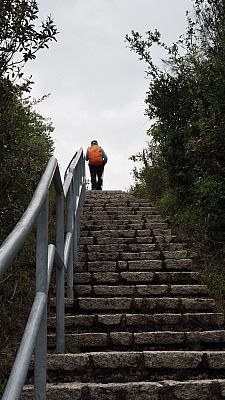 P5250005.JPG