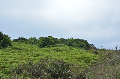 R06_1126.jpg