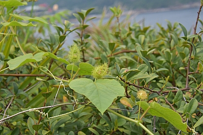 R06_1225.jpg