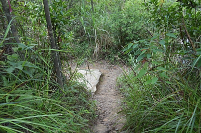 R06_1230.jpg
