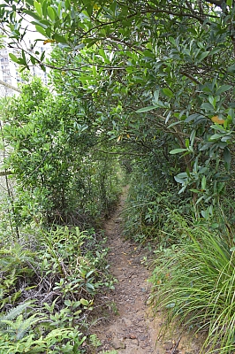 R06_1233.jpg