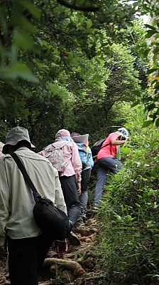 IMG_0005.JPG