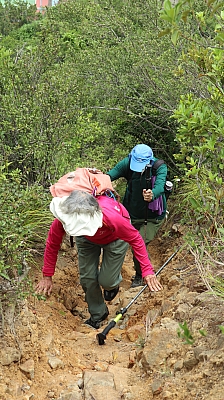 IMG_0015.JPG