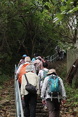 IMG_9857.JPG