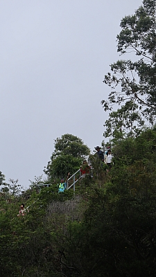 IMG_9878.JPG