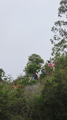 IMG_9880.JPG