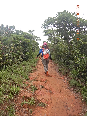 DSCN4939.JPG