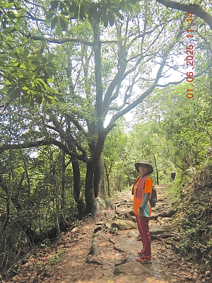 DSCN4953.JPG