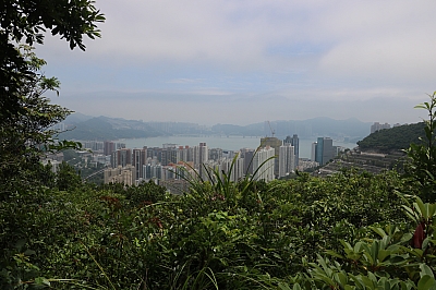 IMG_5374.JPG