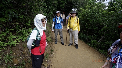 _DSF0065.JPG