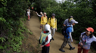 _DSF0066.JPG
