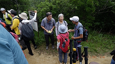 _DSF0069.JPG