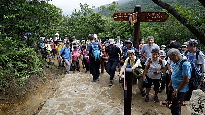 _DSF0072.JPG