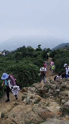 _DSF0115.JPG