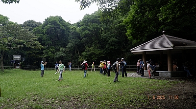 _DSF0125.JPG