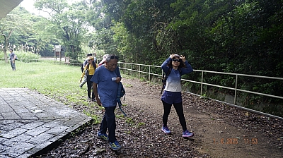 _DSF0131.JPG
