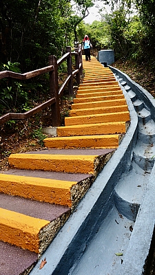 P6010347.JPG