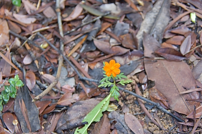 R06_1263.jpg