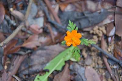 R06_1266.jpg