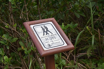 R06_1271.jpg