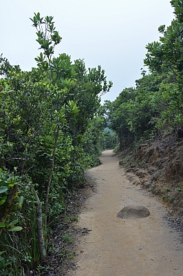 R06_1277.jpg