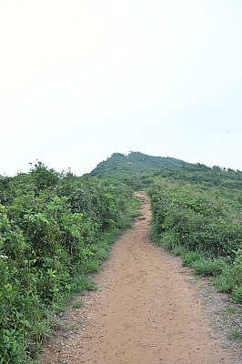 R06_1315.jpg