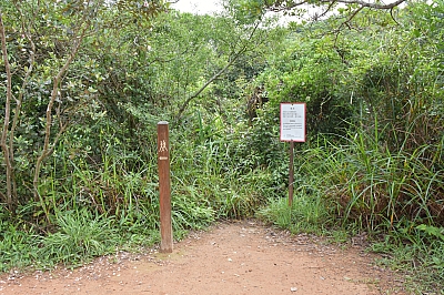 R06_1355.jpg