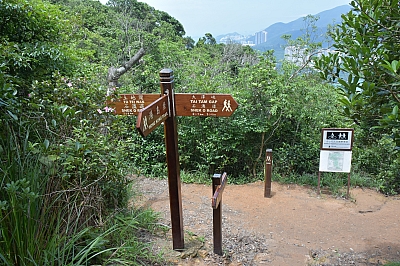 R06_1356.jpg