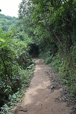 R06_1358.jpg