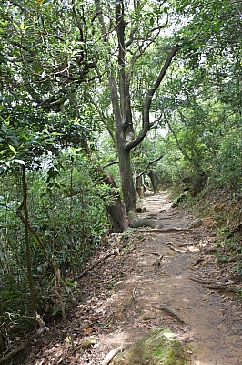 R06_1362.jpg