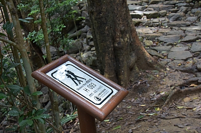 R06_1363.jpg