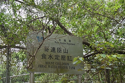 R06_1367.jpg