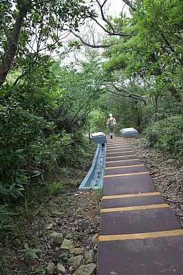 R06_1373.jpg