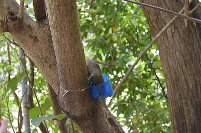 R06_1403.jpg