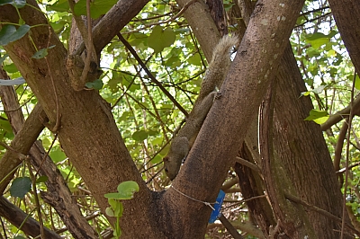 R06_1415.jpg