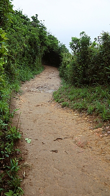IMG_0491.JPG