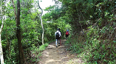 IMG_0525.JPG