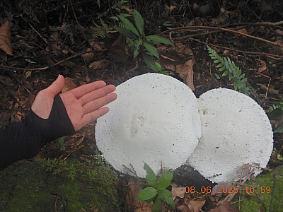 DSCN5061.JPG