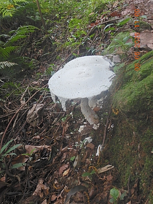 DSCN5062.JPG