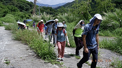 _DSF0129.JPG
