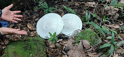 20250608_110127.jpg