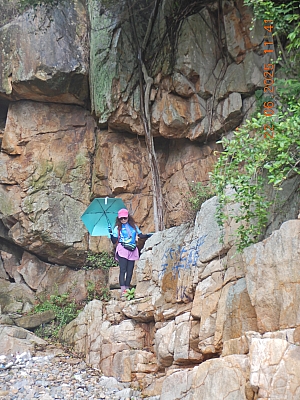DSCN5248.JPG