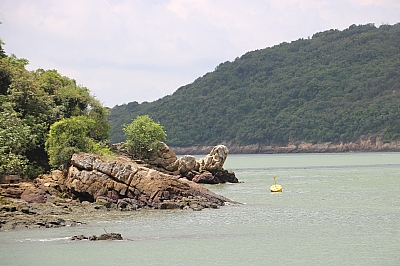 IMG_6287.JPG