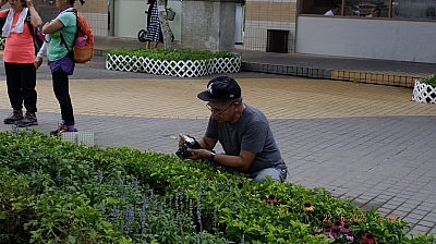 _DSF0020.JPG