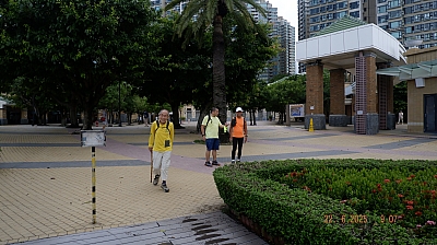 _DSF0039.JPG