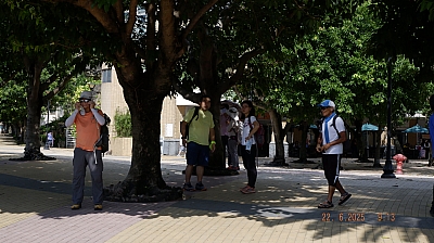_DSF0056.JPG