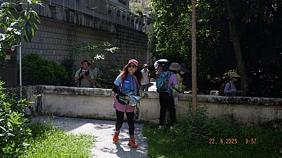 _DSF0153.JPG