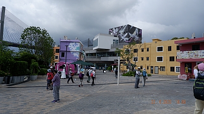 _DSF0177.JPG